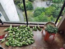 同元御府华庭3室2厅1卫南朝向68.0万元/套出售