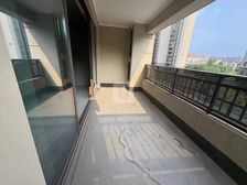 碧桂园凤凰城D区 133平3房2卫 大横厅 小高层