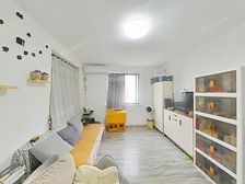 张江·川杨新苑六期·1室·1厅