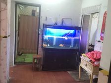 紫鹃新村3室1厅1卫南朝向118.0万元/套出售