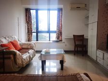 渝中区 V8区 一房 51.5万