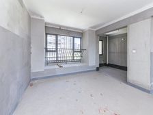 星河国际九区 4室2厅 毛坯