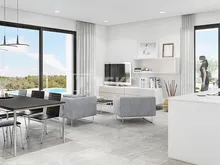 圣米格尔德萨利纳斯(San Miguel de Salina