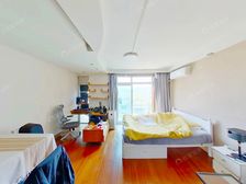 黄龙·黄龙雅苑·1室·0厅