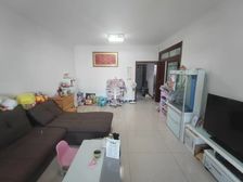 东兴一区 2室1厅 南北 精装