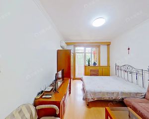 东三环 团结湖公园 白家庄东里低总价两居 明厨明卫 满五年