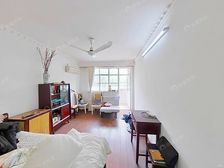 真光好房 可做小两房+客厅 楼层好 南北通 厨卫全明 钥匙房