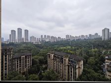 金科公园王府 价格非常便宜 一线公园景观 必看保真