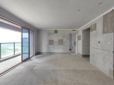 店长力荐 此价格还可以少几万 品质大平层 随时看