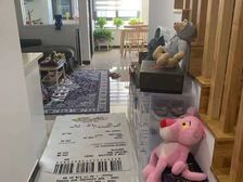 熙悦公馆2室2厅1卫西朝向49.0万元/套出售