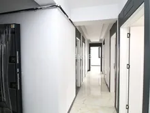 奥斯曼加齐-德米尔塔斯(Osmangazi Demirtas