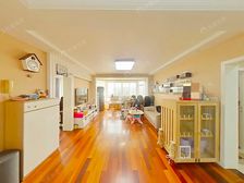 绿洲三期+带两个大花园+采光很好+满五惟一+业主激售