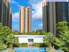 港澳客投姿必看 抄低上车 精装修 看房免费专车接送 临广临深