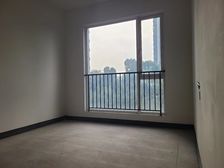 头排江景 双套房 地铁站 棕榈泉悦江国际A区