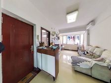 怡园小区 3 房 84 方