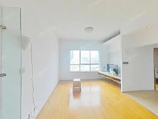 高区景观看陆家嘴三件套 可谈 诚意出售 看房随时有钥匙