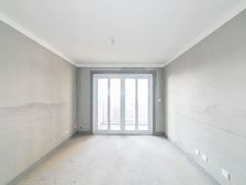 新出湖景房星河丹堤五区 毛坯 特价急卖 随时看房