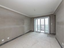 新出湖景房星河丹堤五区 毛坯 特价急卖 随时看房