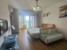 金手指高尔夫温泉小镇25碗两天拿房本 满五 精装全齐全送