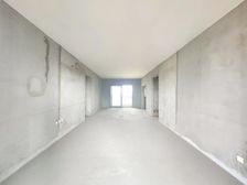 巴国城 大平层 此价格还可以少 随时看房子 急卖