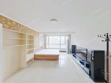 南北通透 高楼层 采光好 通风足