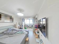 精装修 一房一厅 可拎包入住的一套靓房