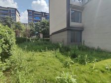 渝北区 香港置地嘉景湾 大平层带三百平大花园