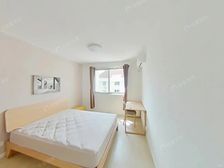 7号线新村路站新上房源 精装修双南两房一厅 电梯绿色楼栋