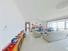 高楼层视野好 满五 业主诚心出售