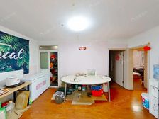 中化家属楼,已重新做改造,金茂物业,正规2室