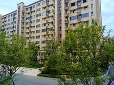 金茂次新房碧桂园物业环境空气好低密度住宅区