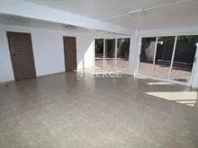 阿利坎特(Alicante)埃尔切(Elche)传统西班牙风