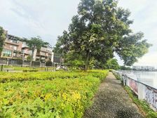 诚心出售 高绿化小区 丽水佳园别墅 正南朝向 密度