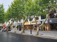 十全街309平三开间两层部分三层年租53.7万售2200万