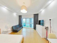 老业主的房子!深得业主信任!静安寺·爱俪轩·1室·0厅