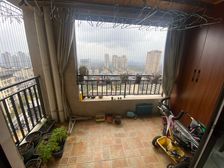 照母山书包房。世茂茂悦府必卖好房 三房双卫 房源保真!