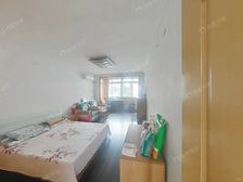 一层两户,南北户型 4号线鲁班路站