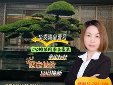 抄底价!逆天性价比!改善换新闭眼入(华发·湾玺壹号)豪装