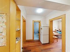 金杨·黄山始信苑·2室·2厅