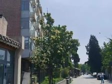 西打磨厂街2室1厅null南北