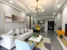 想低首付低月供的看过来东方府新房十一大特惠