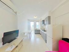 南京西路品质小区,经典一房一厅,白领上车好房,看房方便