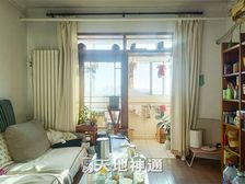 天地神通 南华园四区南北通透 2室一厅 临公园 客厅通阳台