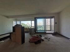 礼嘉TOP级豪宅(带车位,一梯一户)全玻璃幕墙,南北通透