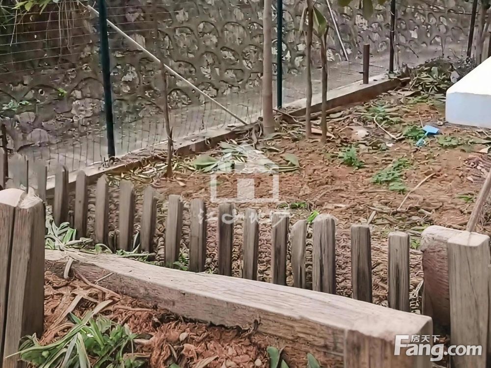室内图