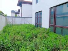 桃坞郡府 汉唐风独栋别墅 围绕式大花园 预留电梯井 土建已做