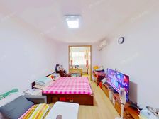 满五年唯一,市政改造过,双南采光好 全明格局,