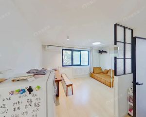 望京花园新上 双阳台两居 格局好 精装修 可直接住 出门地铁