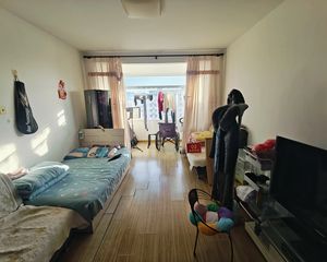 南北通透国际生态城南区2室1厅