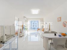 南北通透丹青府2室2厅精装修